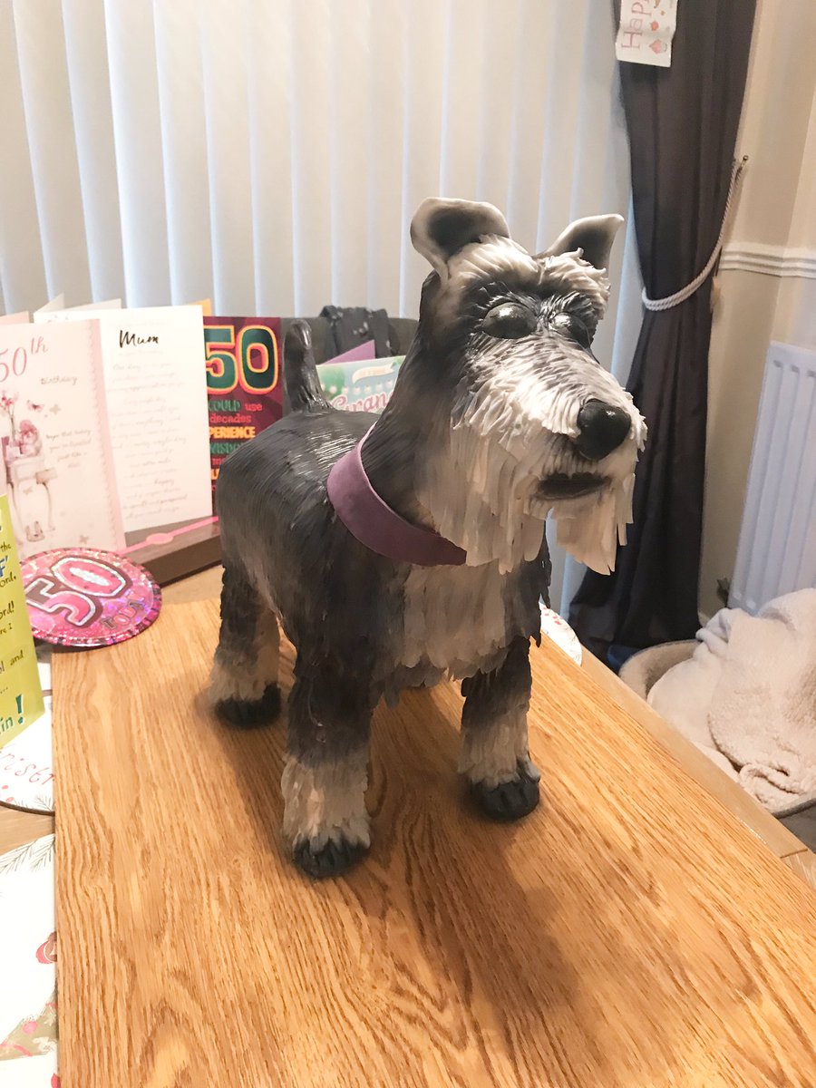 SinfullyD's tweet image. My latest cake. And what a cake it was! A #miniatureschnauzer made for my sisters 50th birthday. 100% edible #allcake #birthdaycake #dogcake #Wirral #wirralbusiness #wirralcakemaker