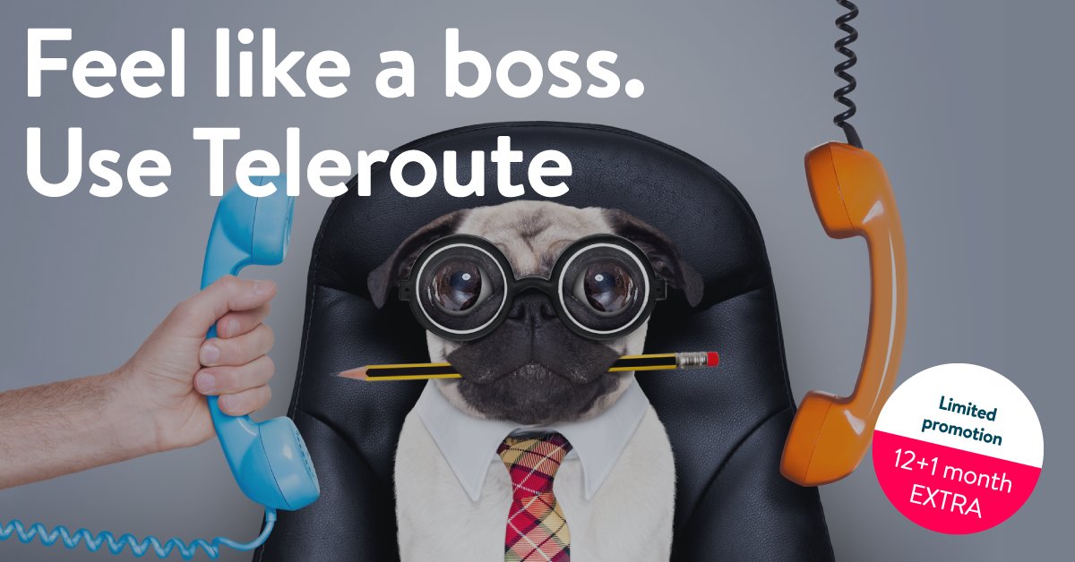 Final weeks: subscribe to Teleroute and get 12+1 month for free.
Check out the full offer at zurl.co/9zGL

#hityourgoals #teleroute #freightexchange