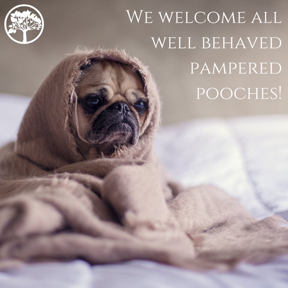 A dog's life can be kind of 'ruff' &amp; just like us, they deserve a holiday too! Thankfully our four external lodges are #DogFriendly, so if you both want to escape the hustle and bustle, there's the ideal space for you at The New Gower Hotel. To book or enquire, call 01792 234111