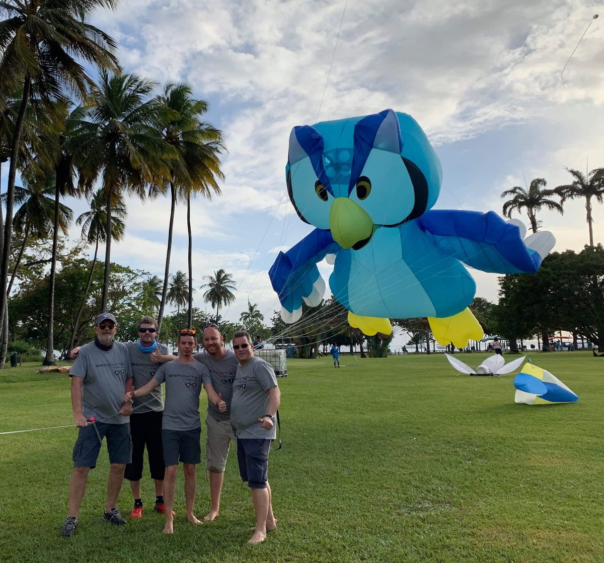 BercKite's tweet image. 