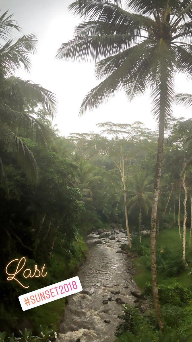 cinegossp's tweet photo. .@SidMalhotra's Latest Instagram Story
Last #SUNSET2018 https://t.co/T6097QbYH4