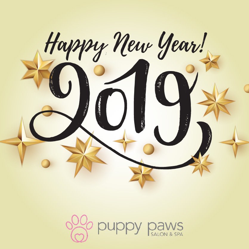 #HappyNewYear2019