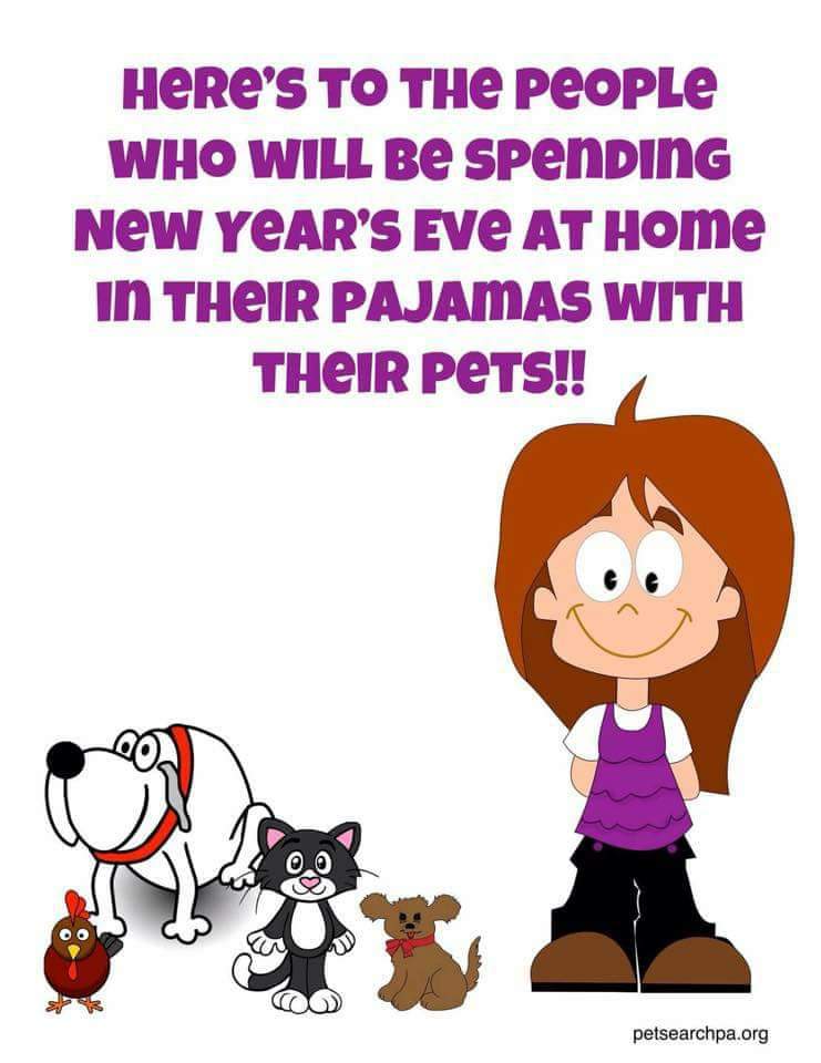🎉Huge shoutout to all the dog mums and dads out there!🎉
How many followers will be joining us? #Newyearseve #NewYear #dogs #DOG #Fireworks
