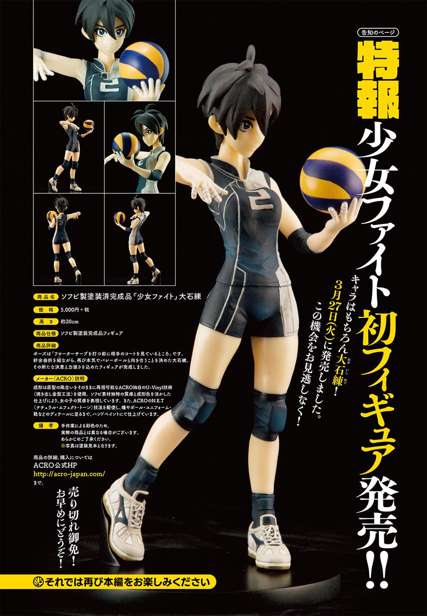 2018年は少女ファイトがVリーグさんとコラボ開始、初フィギュア発売、15巻発売記念タワーレコード渋谷店さんサイン会と複製原画展＆販売、マキシマム ザ ホルモン亮君ご指名で「これからの麺カタコッテリの話をしよう」のレビュー漫画を描… 