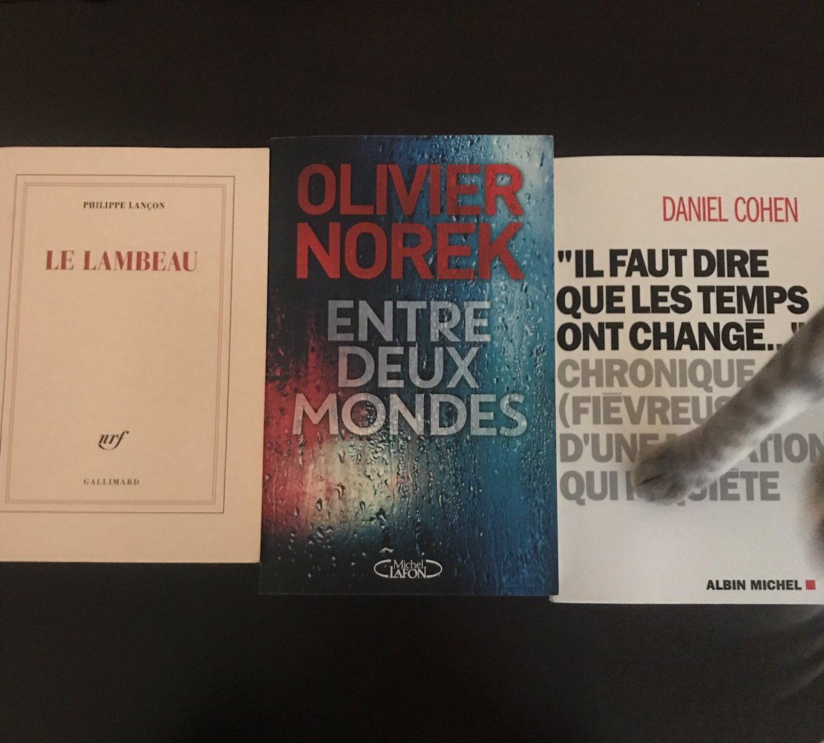 Top 3 de mes lectures 2018, Lançon, Norek, Cohen.
Emoi, stupeur et prophétie.        (Choix du chat en bonus) #lecture #bilan2018 #top3 #choixlecture #choixduchat🐾