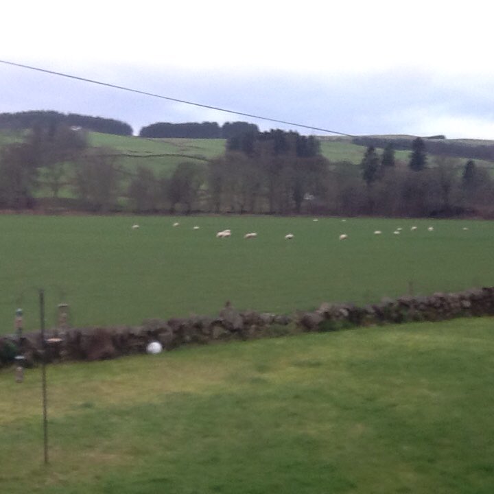 JPHawk45's tweet image. Happy New Year from a very warm but dull Scotland