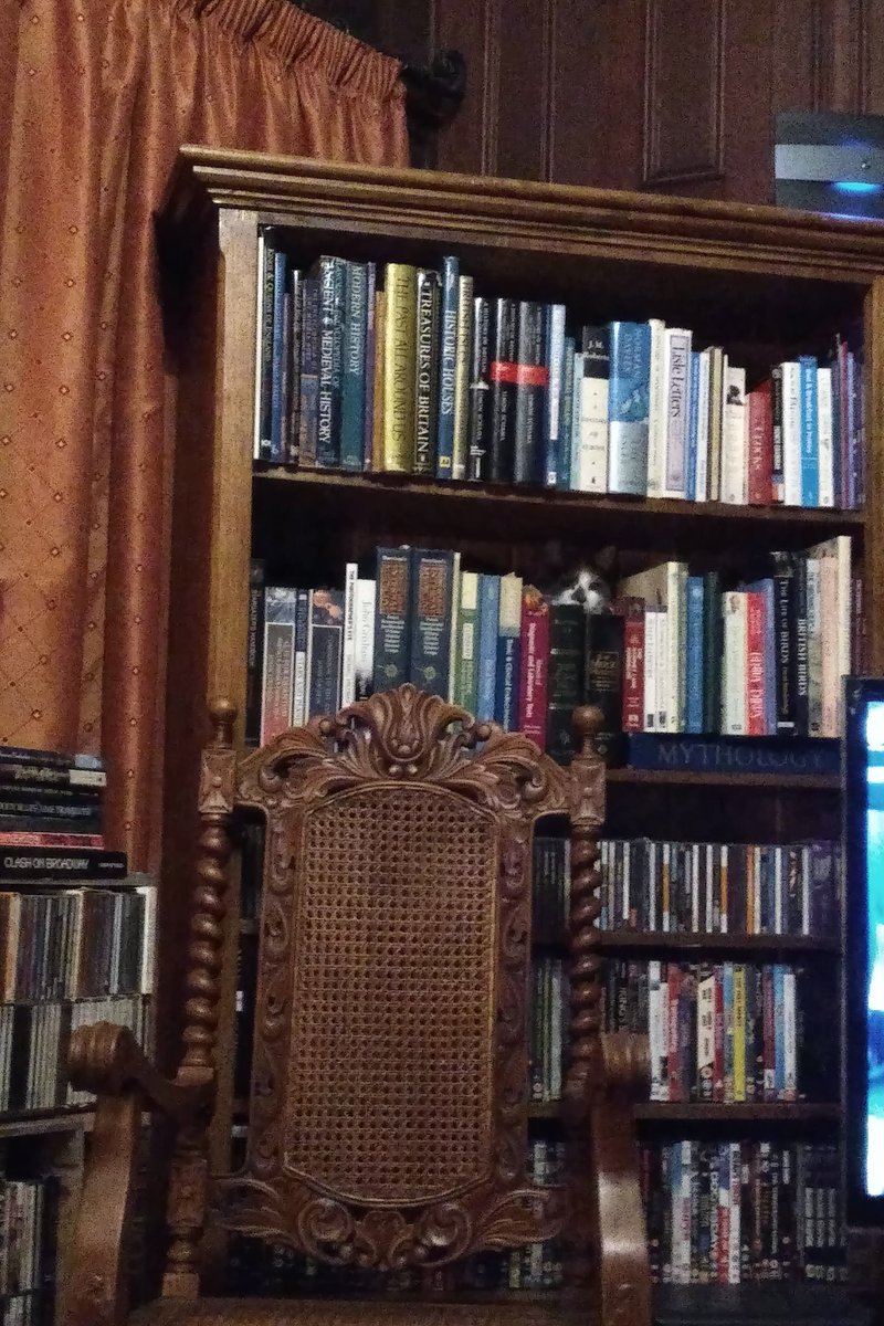 HSRHPrincess's tweet image. Let's play "Can you find the Kitty?" LOL! I've discovered a new fave place to explore this week! I've lived here 3 years and JUST discovered that by using Daddys throne chair, how I can creep up into mummys book case:)