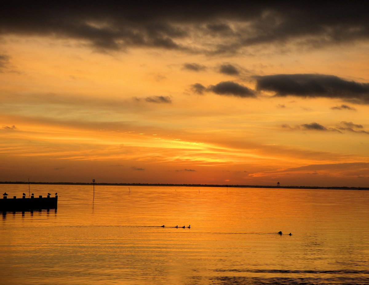 TomsRiverOnline's tweet photo. The LAST SUNRISE OF 2018...viewed over the bay, from Island Heights. /// Remember to visit our Home page on the web: https://t.co/iwwQfAPNJN #sunrise #barnegatbay #islandheights #bay #colorfulsunrise #reflections https://t.co/tHnkpcp822