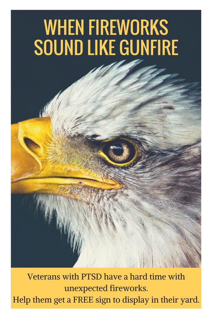 This New Years remember that not everyone likes fireworks so please be considerate.