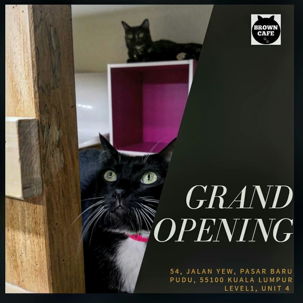 BROWN CAFE (@browncafe254)  Twitter