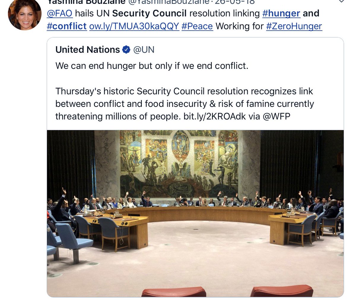 KvanOosterom's tweet photo. During our UN Security Council membership our first priority was Prevention of Conflict and addressing root causes, like climate change: proud of unanimous adoption of Resolution on Conflict and Hunger we initiated.
#KNLinSC2018 (3) https://t.co/OM4DqXgVO9