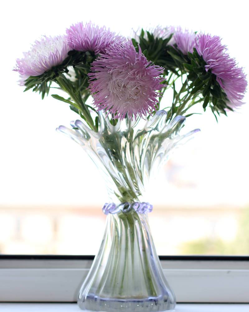 BurbankFlower's tweet photo. Send beautiful and cheery #asters to your loved ones today by ordering from #FlowerDeliveryBurbank!

Buy now: https://t.co/3zxki5E47y

#flower #florist #burbankflowerdelivery #flowerdelivery #freshflowers #flowerbouquet #floral #FLOWERFLOWER https://t.co/nG0IZDZ3W9