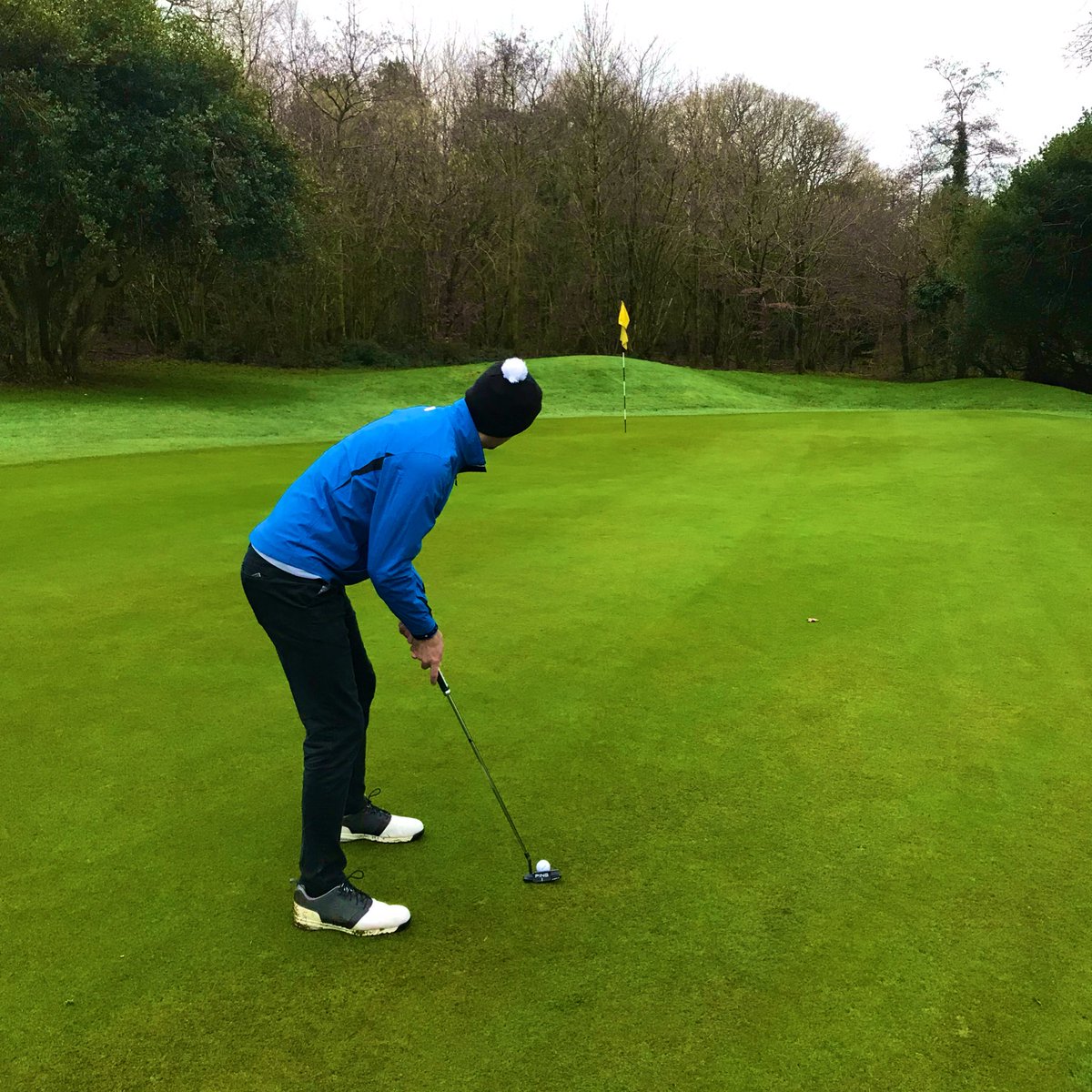 Alex Perry tweet media