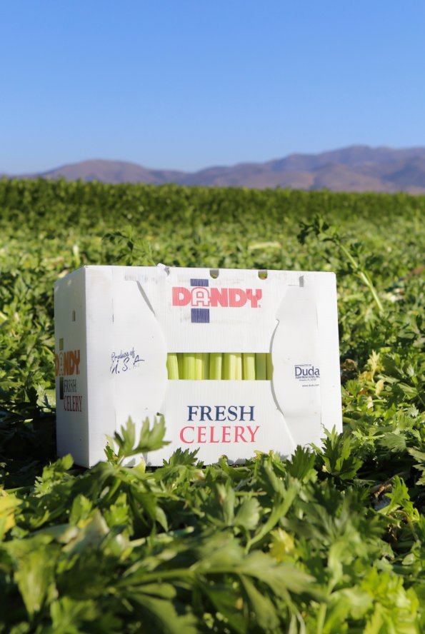 Dandy Fresh Produce tweet media