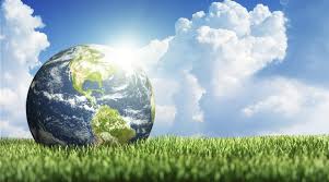 Book_My_Essay's tweet image. Top Environmental Course You Can Go for in 2019 - bit.ly/2TpEfdh
#EnvironmentalAssignmentHelp, #AssignmentWritingHelp, #TopEnvironmentalCourse