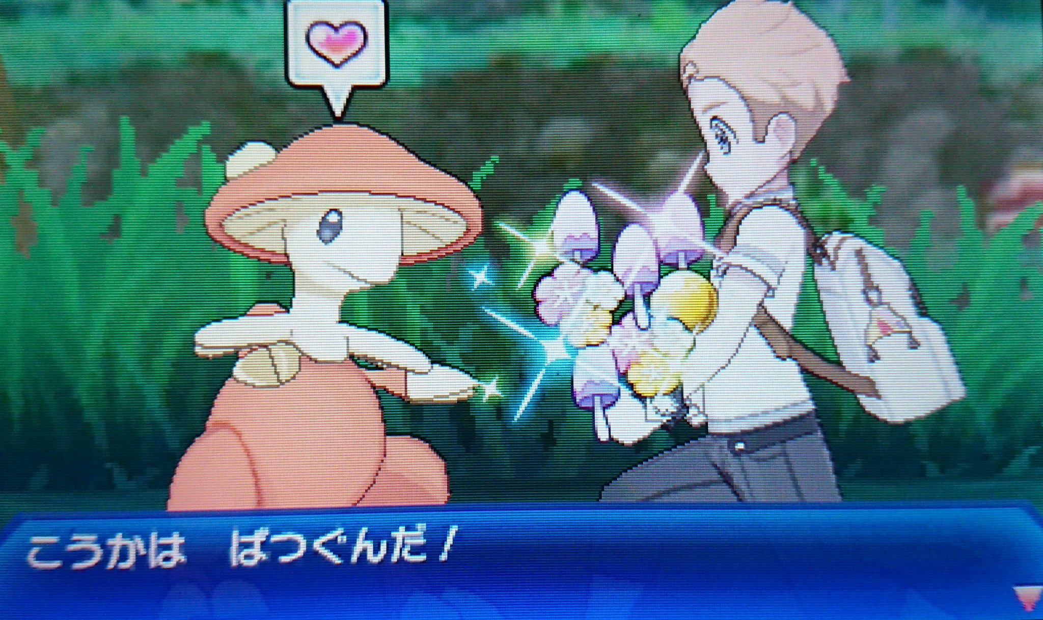 تويتر ｑちゃん على تويتر 先日ゲットしたキノココちゃんが進化ー 色キノガッサです クリスマス近くに出て来てくれたので抱えきれない程のプレゼントを 色草コンプカウントダウン 8 T Co 2ylghsw8ir