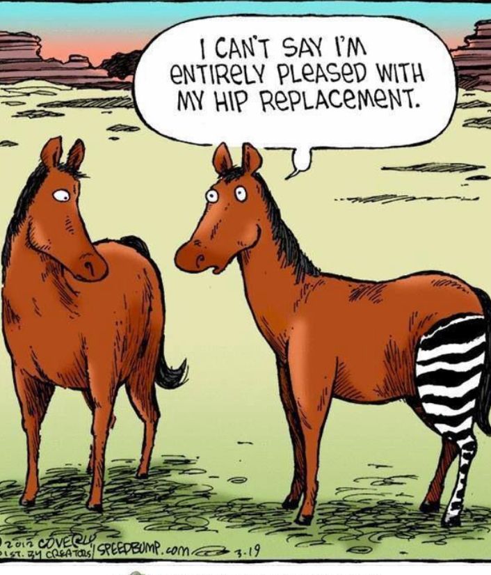 TheActivePhysi1's tweet image. Happy New Year!

#physiotherapy #charteredsocietyofphysiotherapy #activephysio #keepingfit #active #rehabilitation #recovery #sports #injuries #sportsinjury #strength  #strengthtraining #injury #Prevention #sports #sportsinjuries #pain #exercise