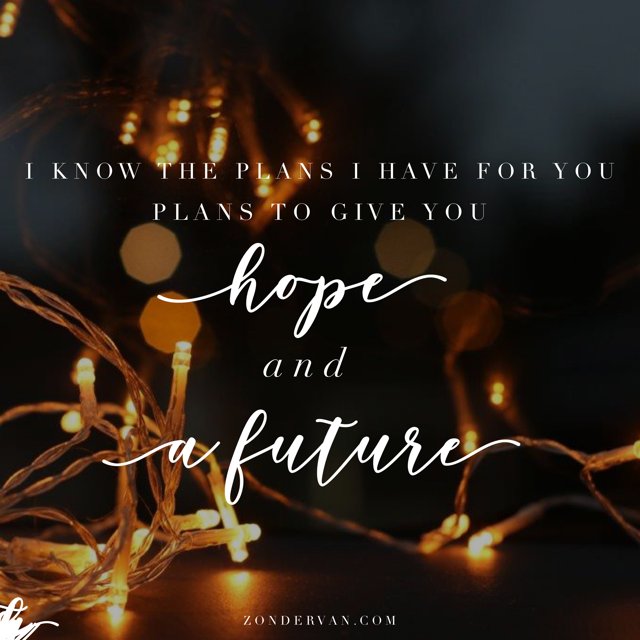 Zondervan Publishers On Twitter For I Know The Plans I Have For You Declares The Lord Plans To Prosper You And Not To Harm You Plans To Give You Hope And A