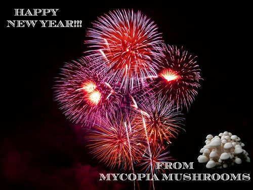 Gourmet Mushrooms (@mycopiamushroom) on Twitter photo 