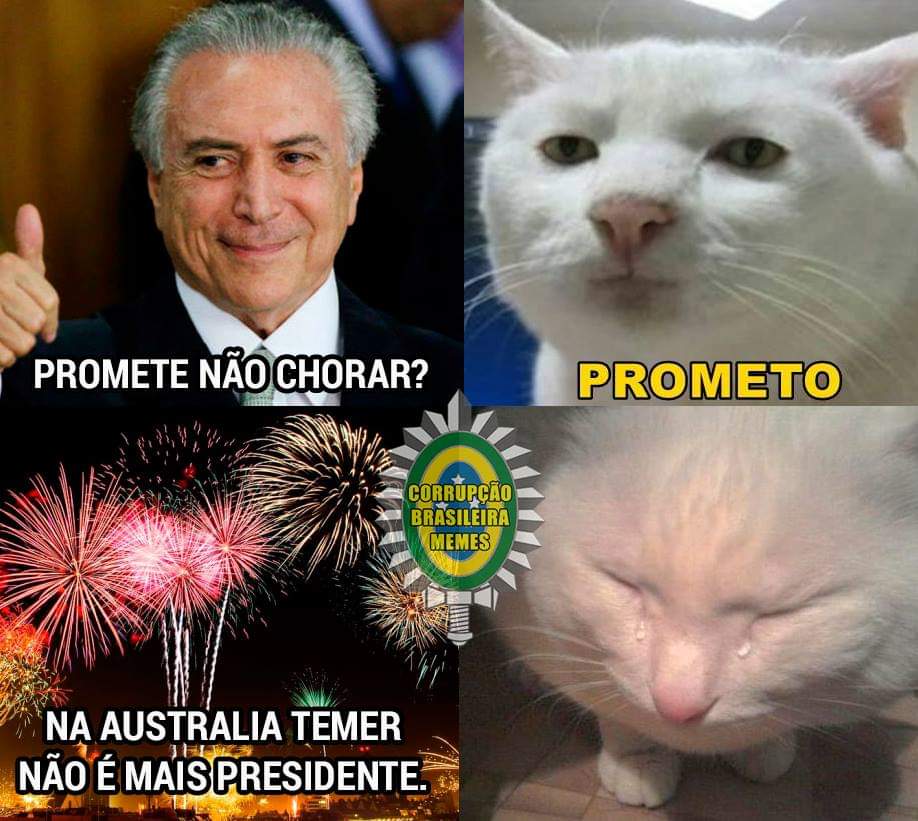 Corrupção Brasileira Memes - CBMστο X: De Cabelo blindado para a