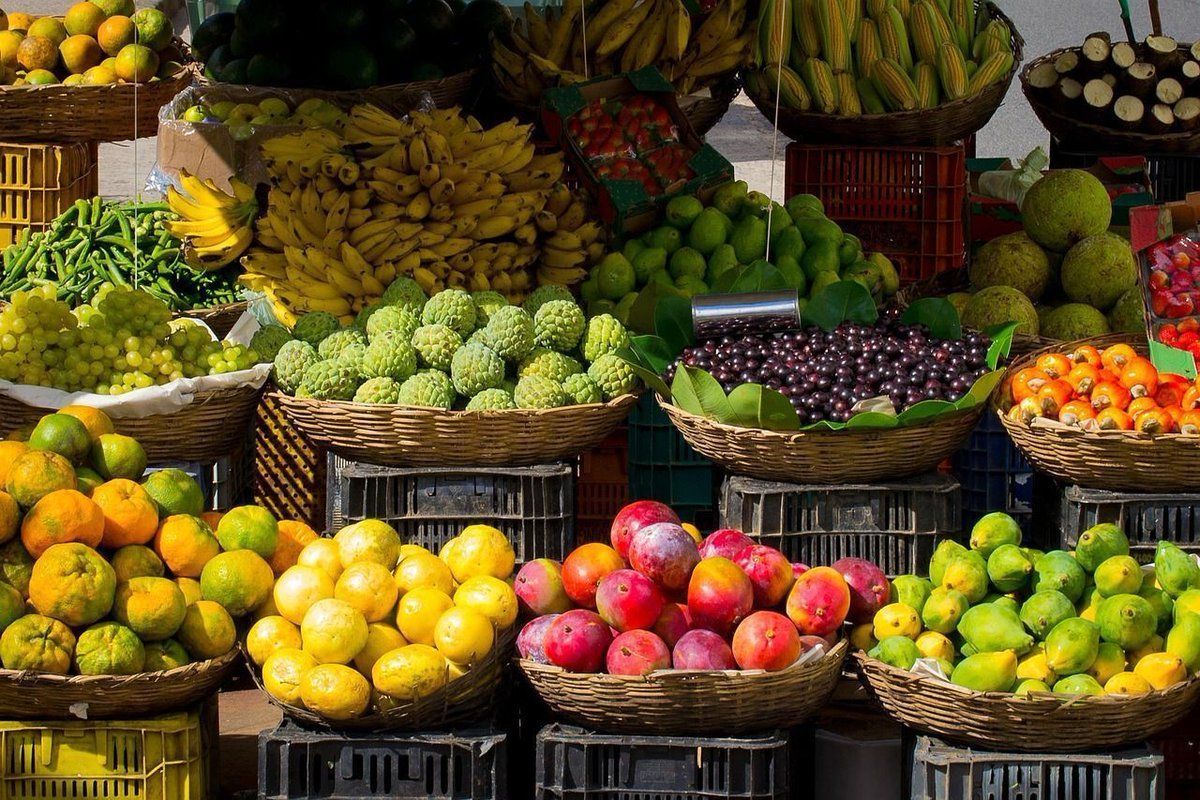 Food and Agriculture Organization tweet media