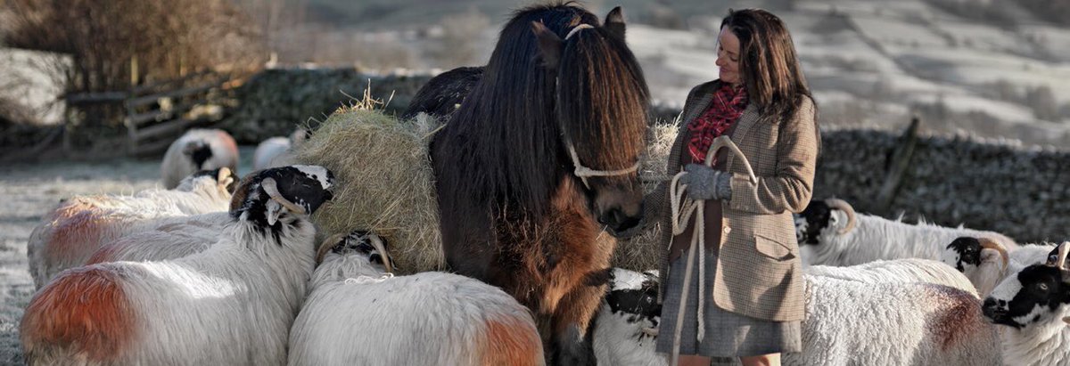 woolismybread's tweet photo. Seasons of a Shepherdess. Spring, Summer, Autumn and Winter. Thank you all so much for following me, It’s been my pleasure sharing my world.  2018 was a challenge emotionally and physically but I happily built, moved onwards, thrived and grew. 🐏🐏🐏@NFUCountryside https://t.co/2OHynJVmMR