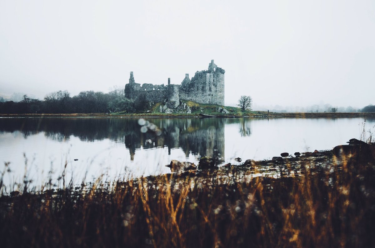 Daniel Casson tweet media
