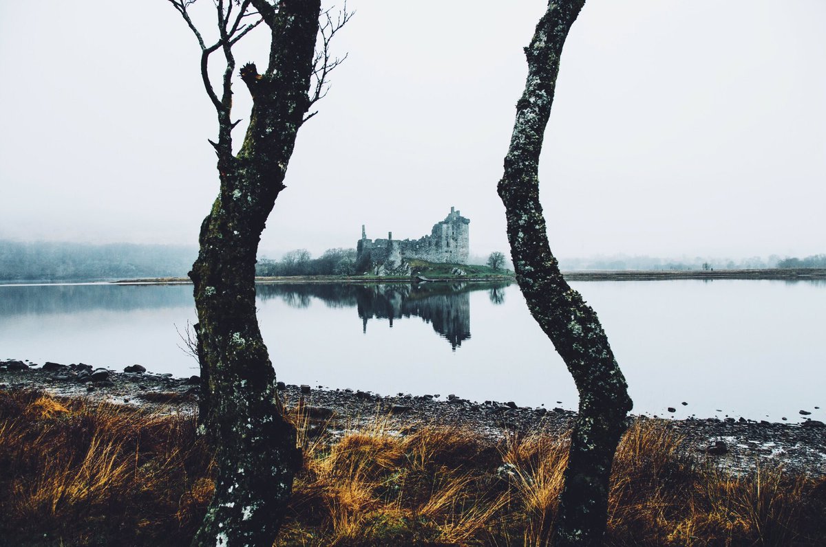 Daniel Casson tweet media