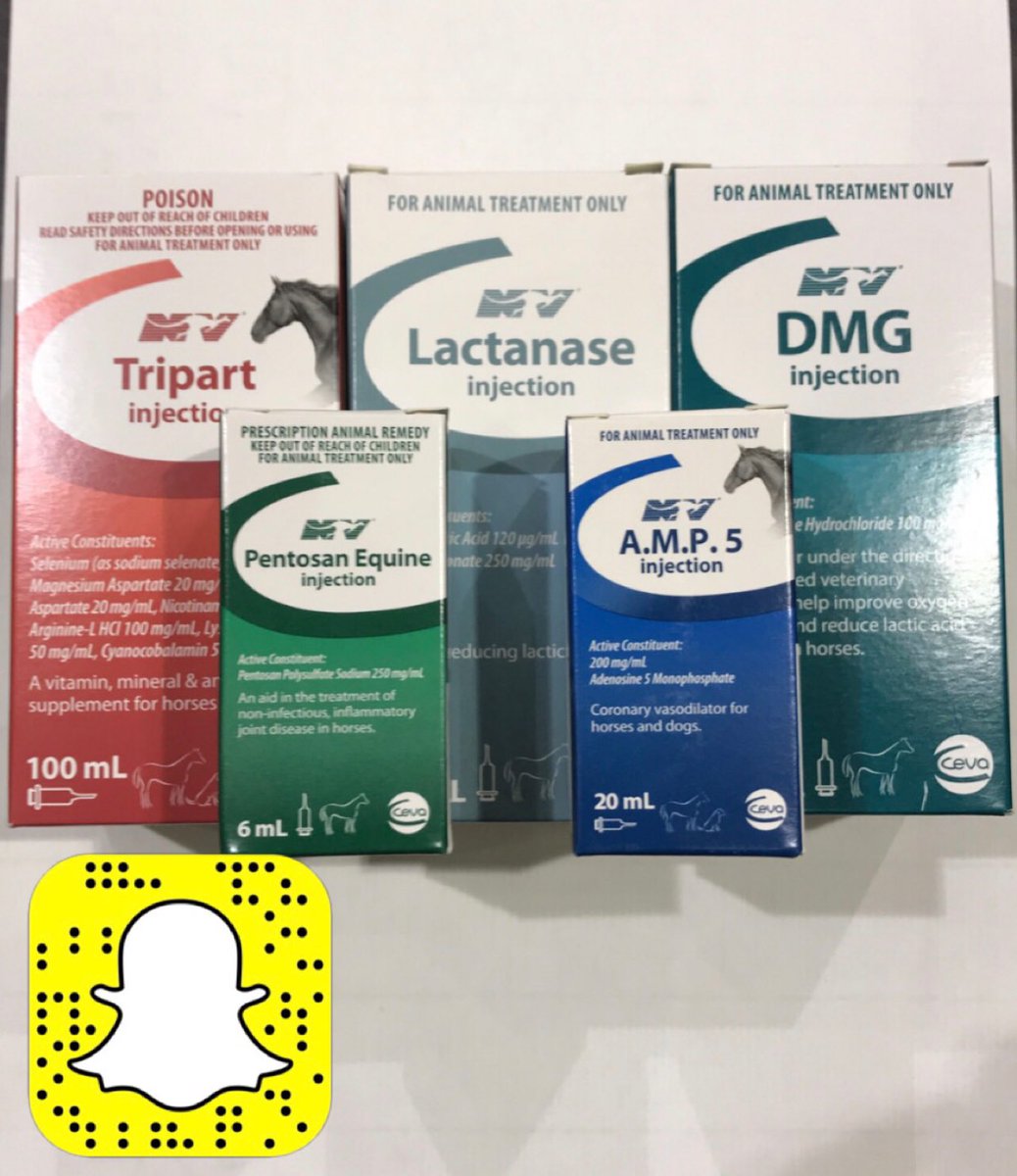 dmg injection for horses dmg injection for horses