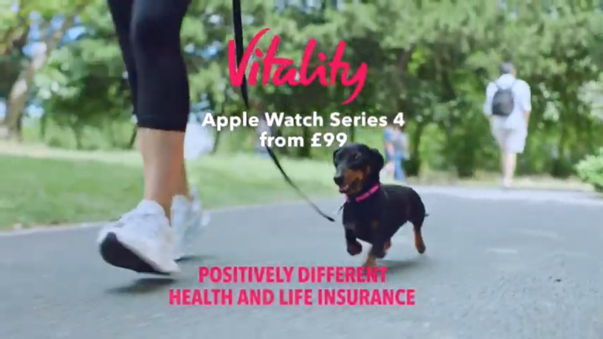 vitality dachshund