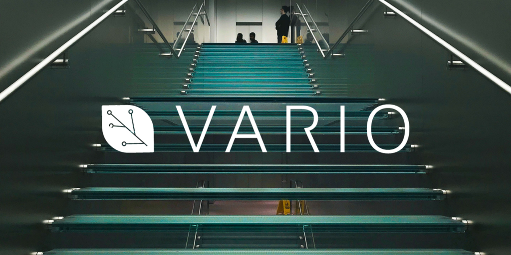 We are committed to sustainability and set up for future growth. Visit variomining.io to learn more. #MineWithVARIO