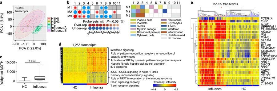 mmw_lmw's tweet photo. WholeBlood Transcriptional Signatures of #InFluenza | #NeutroPhil Associated Patterns in Humans | AnneOGarra @TheCrick and PeterOpenshaw @imperialcollege @NatImmunol https://t.co/zBvUwouPR5 | #2018_ReCap_May https://t.co/sMkWrnbciL