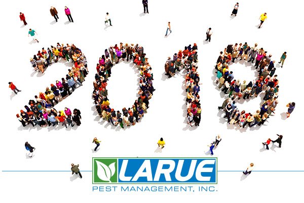 laruepest's tweet photo. 3...2...1... 🥳 From all of us at Larue Pest Management, have safe a happy new year!!!! #2019 #HappyNewYear #swfl #fortmyers #florida https://t.co/jBhkgXVwyr
