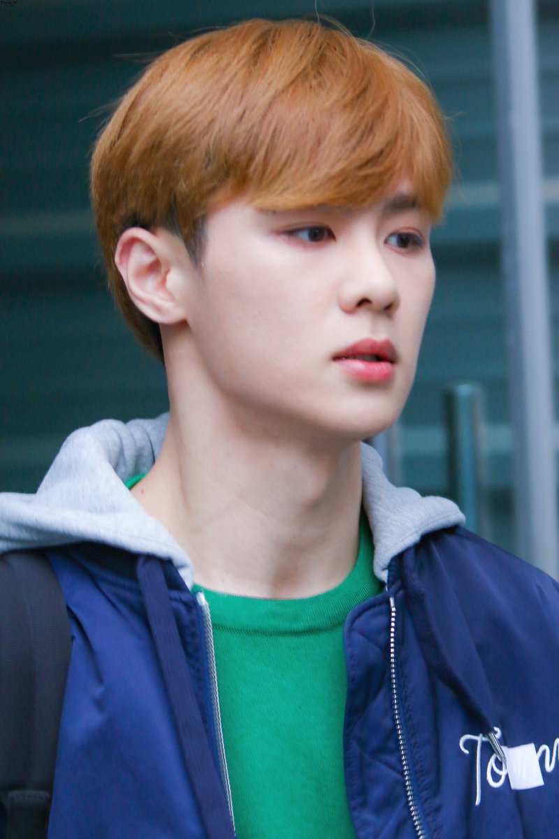 마이마이 tweet media