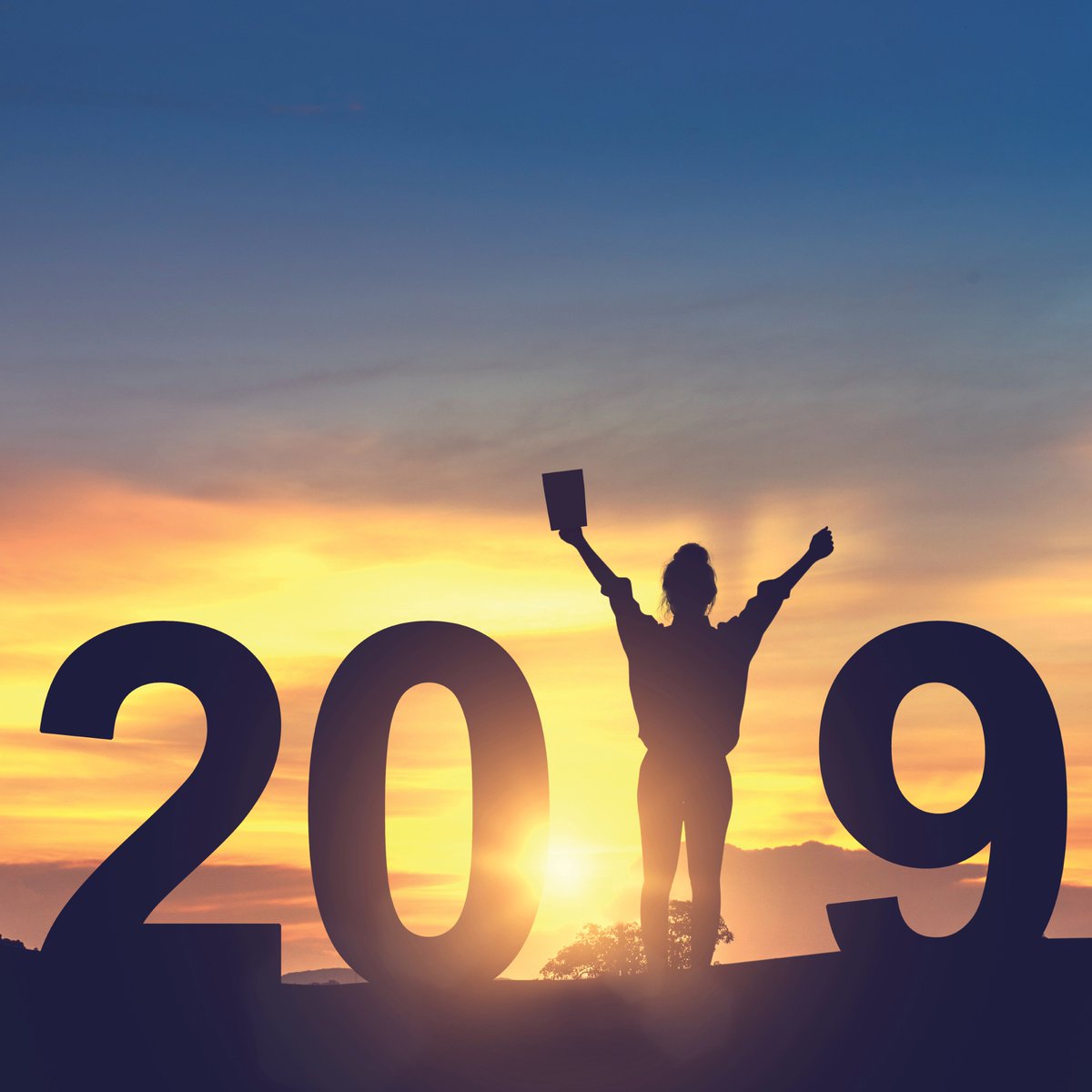 Here's to a great 2019! #Happy New Year! #Go Savory Wild!