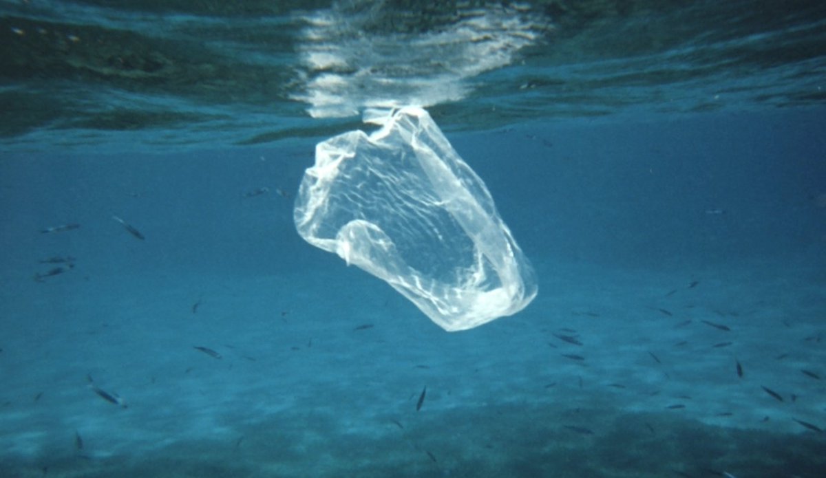 PlasticPollutes's tweet image. The 2018 statistic of the year: 90.5% of plastic has never been recycled. #plasticpollutes ow.ly/EZMp30n5EMv