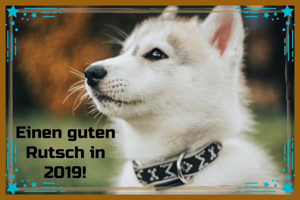 hiking_dogs's tweet photo. Guten Rutsch ins neue Jahr - https://t.co/vgEkBmo2W1 https://t.co/h2nBFKY0Wi