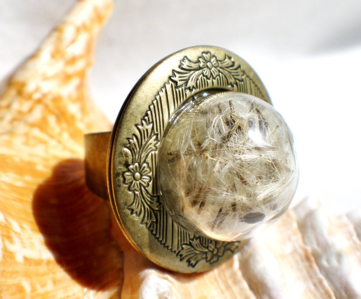 Char'sFavoriteThings tweet media