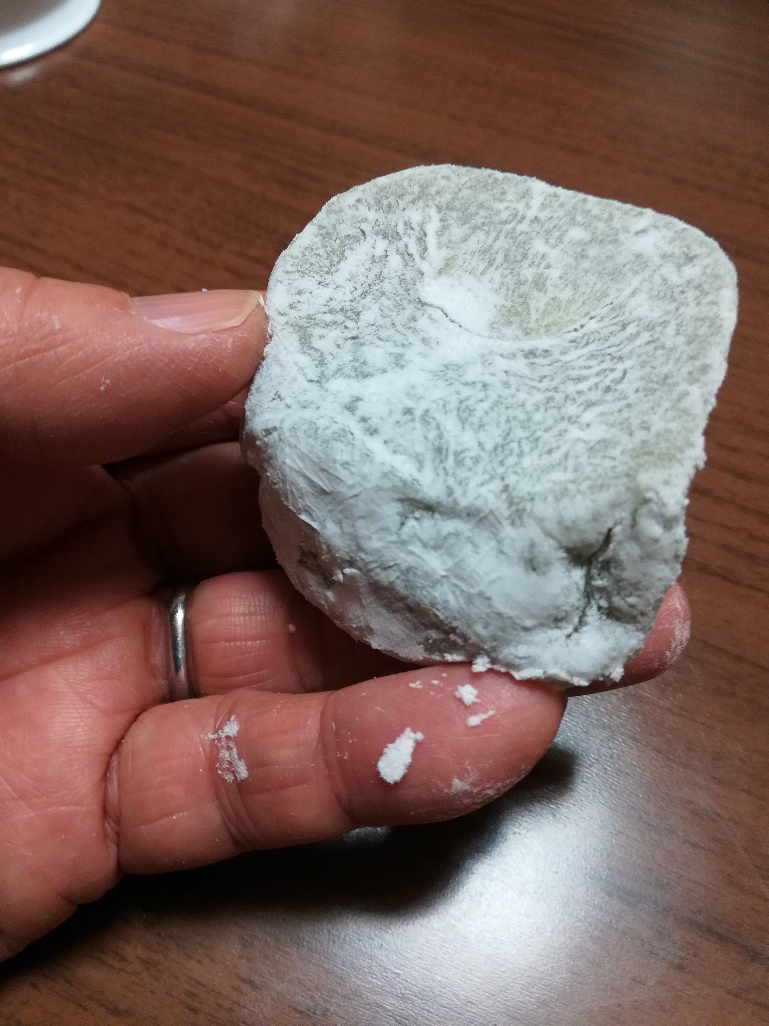 てけ めがねっ子推し お腹すいたから大福餅食べる これみて 洗うな ウソ お茶の間へ 洗うなっ ってまたタモリ倶楽部の空耳アワー思い出した