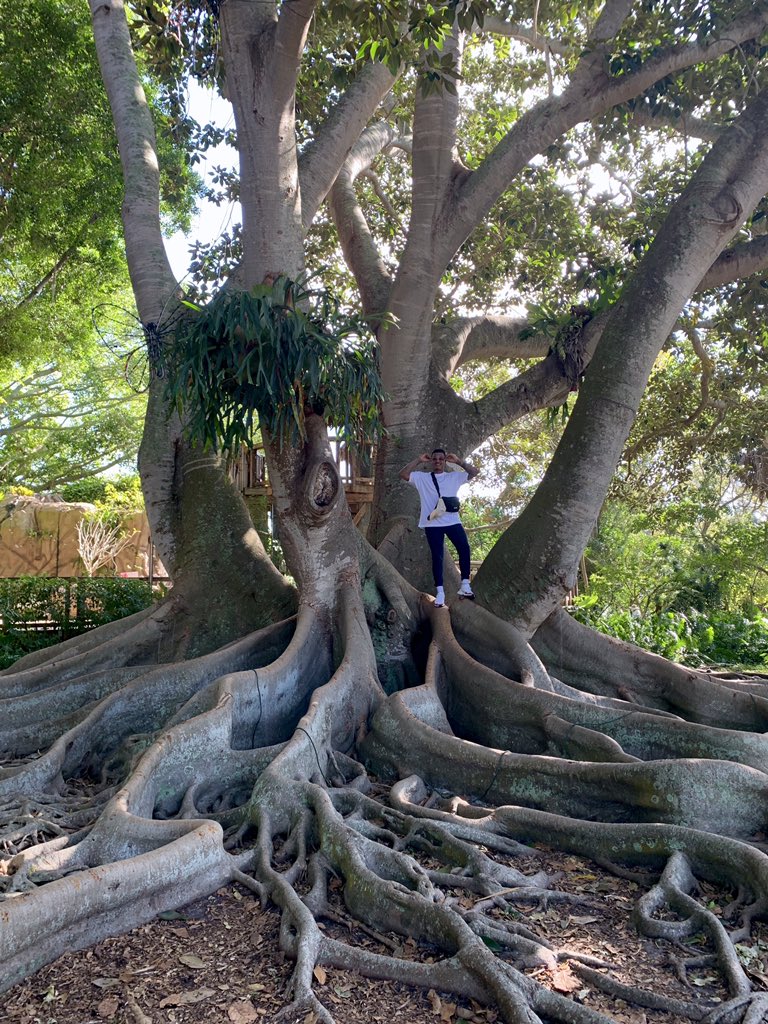 STR0's tweet photo. Branch away from those who don’t add value. 📈 https://t.co/sICi3isiHU