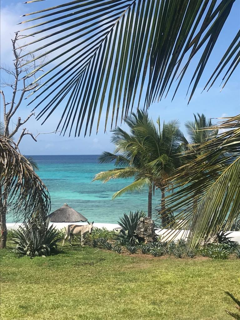 Au moment d’entrer dans cette nouvelle année, c’est le moment de faire le bilan de l’2018, de faire des projets et peut être de prendre des résolutions, ...
Je vous
Une excellente nouvelle année, que vos projets les plus chers se réalisent et surtout:
May the force be with you!