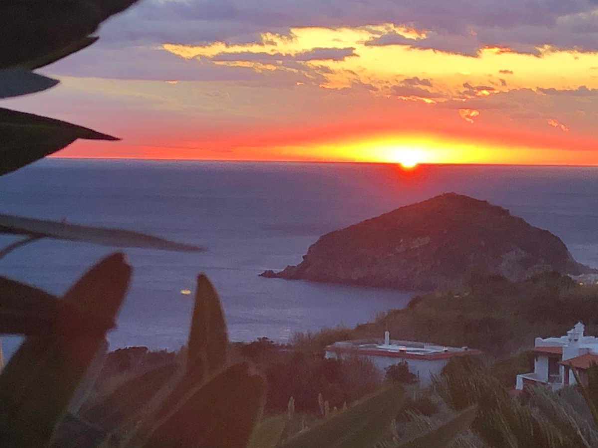 Tiziana Rossetto tweet media