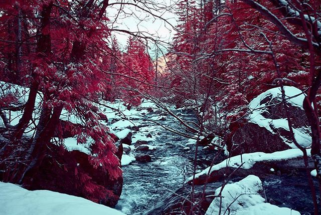 The last one for 2018. The Entschlige running through #Adelboden .
.
.
.
.
#lekkerzine #infrared #noicemag #infraredphotography #rentalmag #broadmag #subjectivelyobjective #ourmomentum #phornography #minimalzine #paperjournalmag #oftheafternoon #thisvery… bit.ly/2RoL0yh