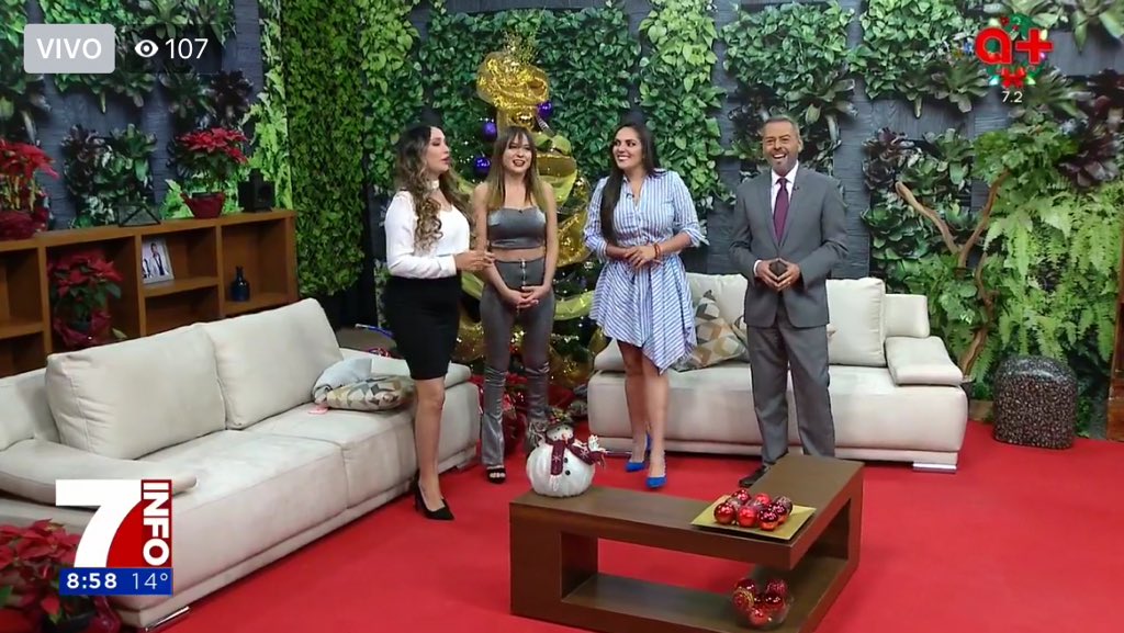 SantaneFan's tweet photo. @Mich_Santane Amo tu sonrisa, tu trabajo, cómo alegras mis mañanas, que seas tan linda u carismática. Gracias por un 2019 maravilloso. https://t.co/oEz2PBG1pc