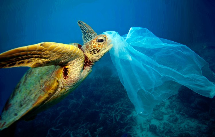 _lemarin's tweet photo. La Nouvelle-Calédonie interdit le plastique à usage unique https://t.co/hboKG81bdL via @_lemarin #environnement #ocean https://t.co/6uIilcR6bZ
