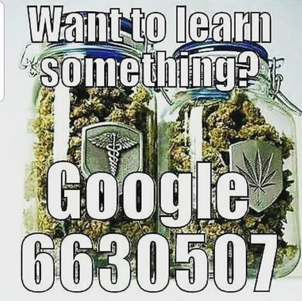 treesofknwledge's tweet photo. Comment with what you find out and be entered into our weekly drawing!!
#knowledgeispower #420 #cannabis #delivery #sacramento #marijuana #weed #flower #THC #edibles #shatter #concentrate #extract #tok #treesofknowledge #getlit https://t.co/GeZZAl1MhL