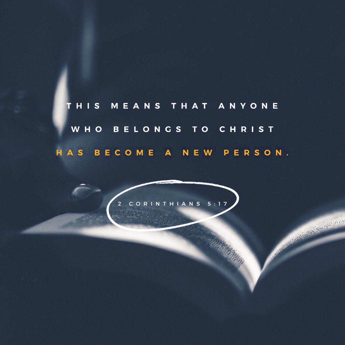 What a blessing to know that in Christ we are all made new. 
instagram.com/p/BsC000RlNNu/…