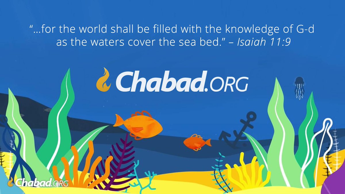 Chabad's tweet photo. Join us for our year end campaign! 
https://t.co/QHWYWnNF6h https://t.co/b8Pl65aLjn