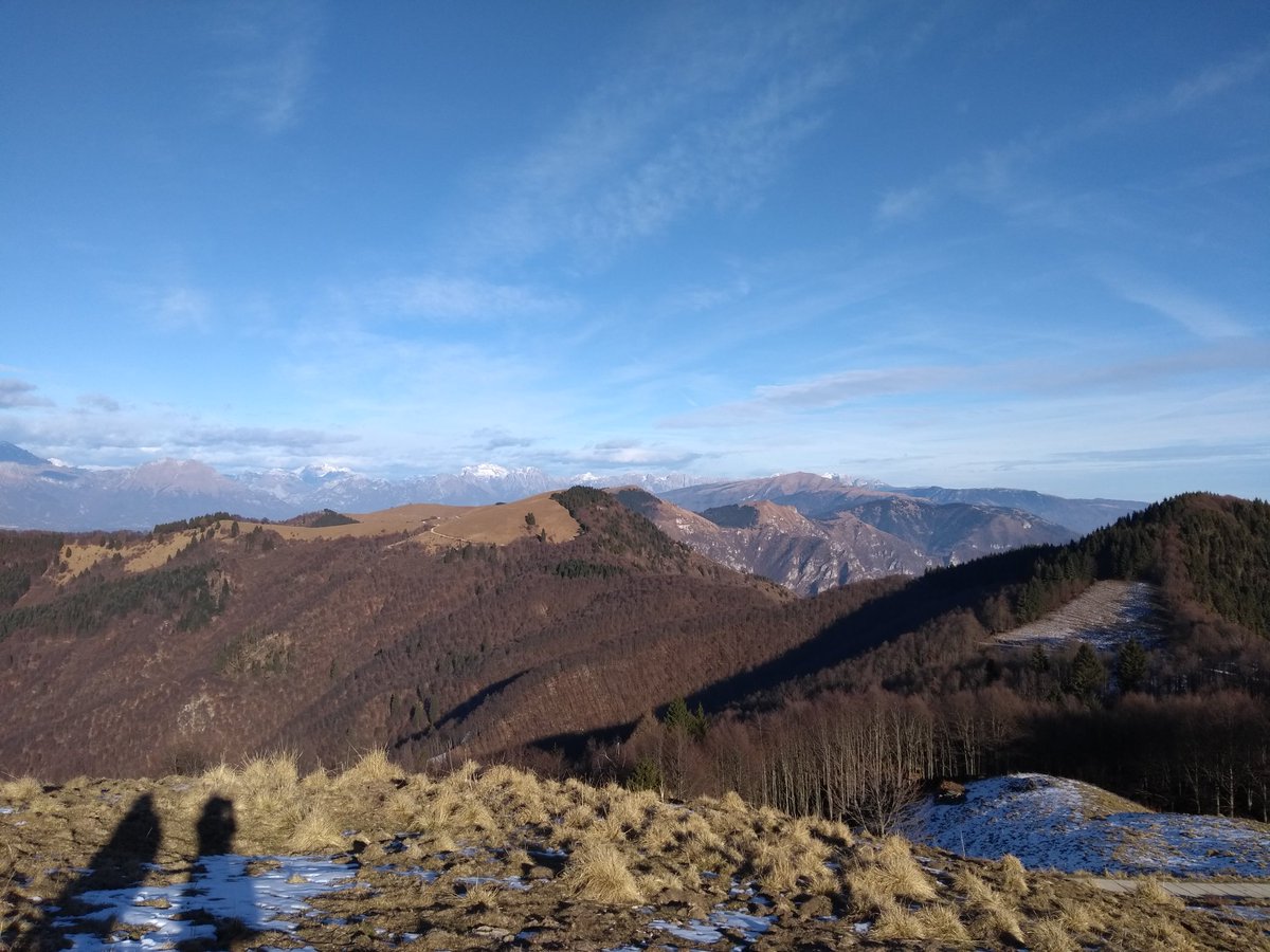 ISTOR Treviso tweet media