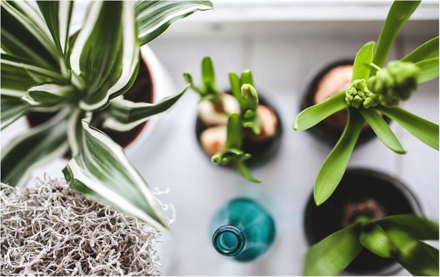 Six Ways to Make Yourself Happier at Home.
realtytimes.com/consumeradvice… #realtytimes #realtor #homeadvice #homeowner #happyhome #hometips